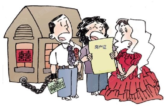 隐匿隐茎图片_男方隐匿婚内收入(3)