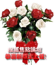 壁纸 花 花束 鲜花 桌面 230_280 gif 动态图 动图