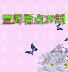 Ҽ�ܿ����29��