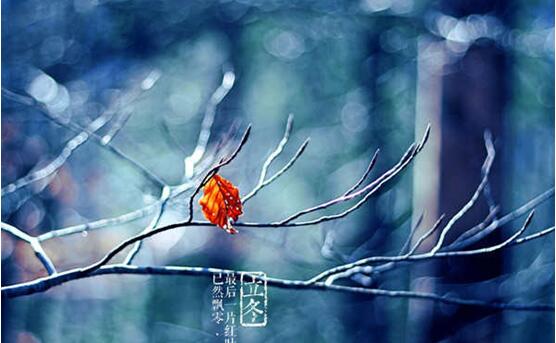 a_386696379.jpg
