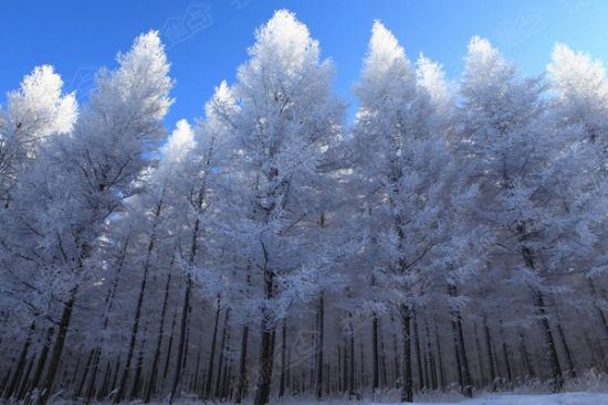 承德坝上拍最美雪景