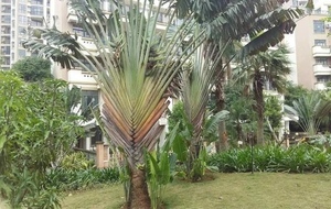 小区内.jpg