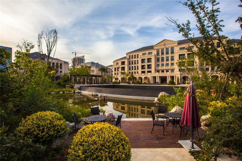 绿城沈阳全运村-沈阳绿城沈阳全运村楼盘图片信息-搜狐焦点