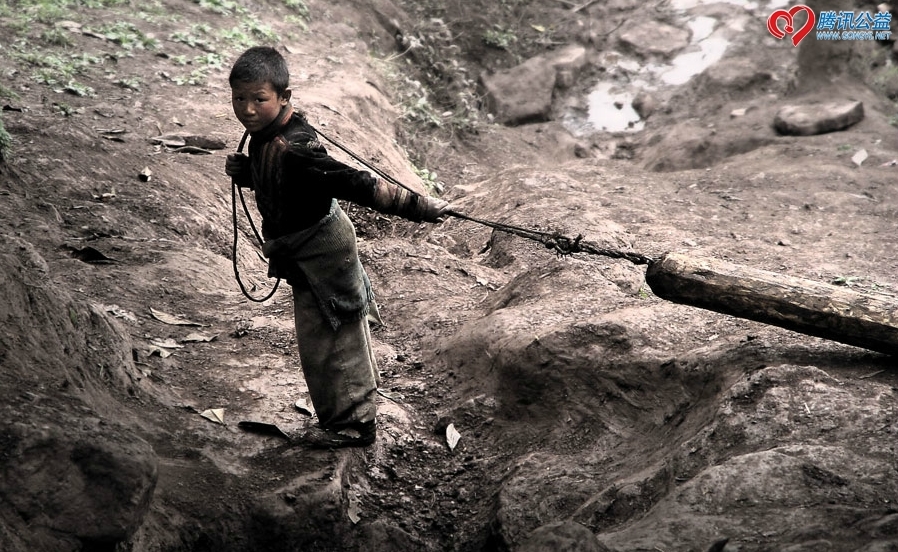 图:大山里的伐木少年,12岁的小男孩,已经没有读书了.
