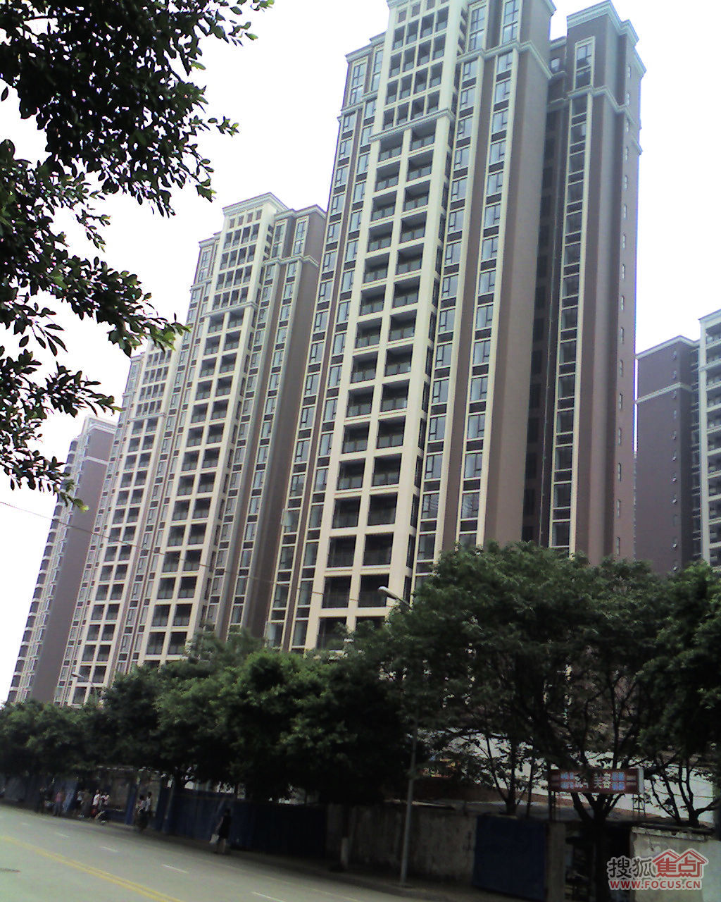 神仙树馨苑图片