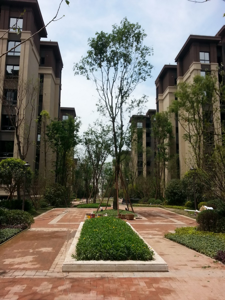 协信星澜汇-重庆协信星澜汇楼盘图片信息-搜狐焦点