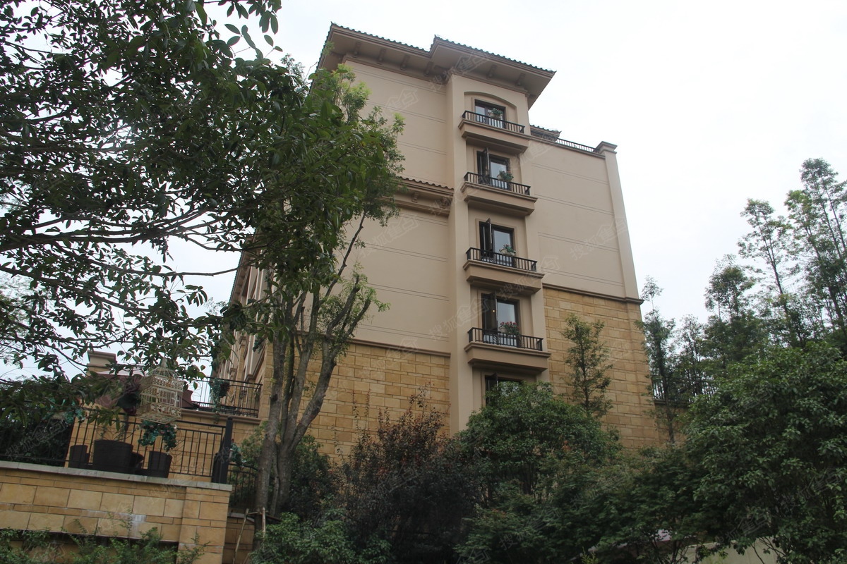 金科城-重庆金科城楼盘图片信息-搜狐焦点