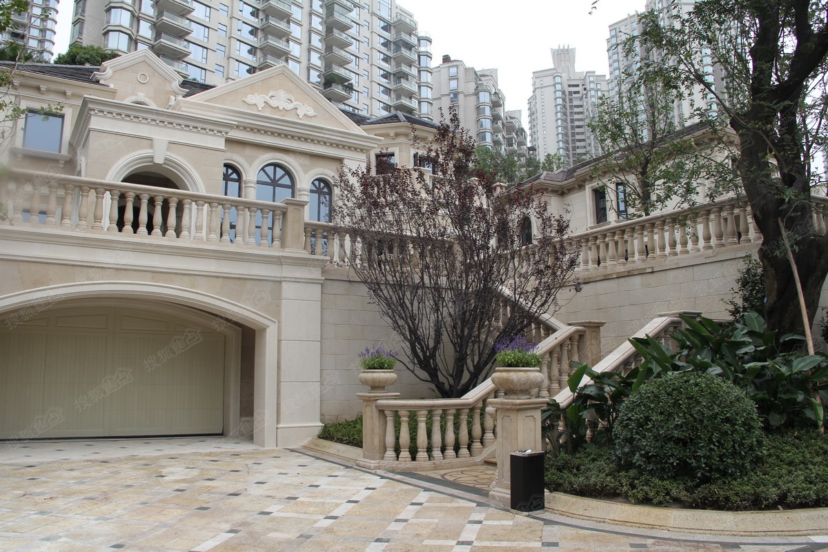重庆棕榈泉独栋别墅图片
