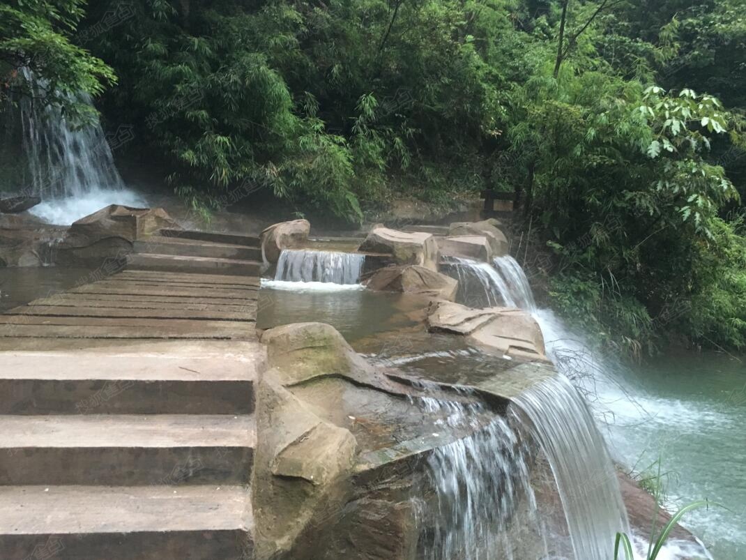 天岛湖重庆图片