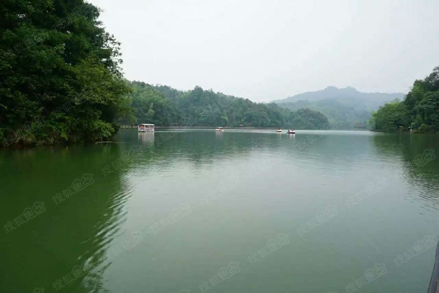 天岛湖重庆图片