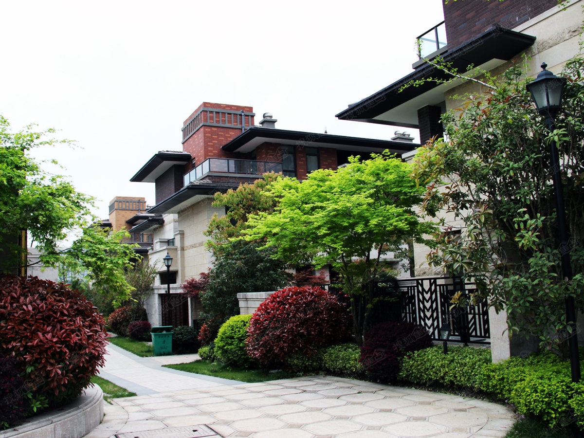 绿地外滩1号实景图——别墅区外观