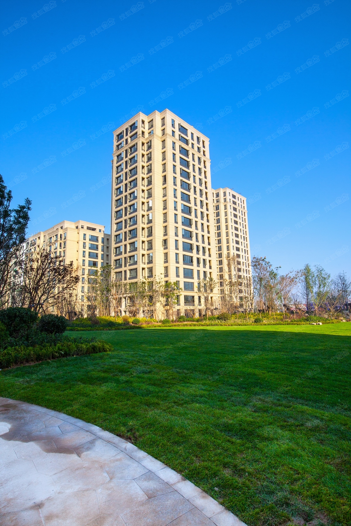 greentown lily garden