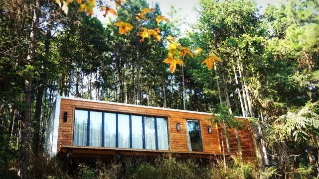 齐云山自由家树屋世界11月18日开张 可享十重惊喜