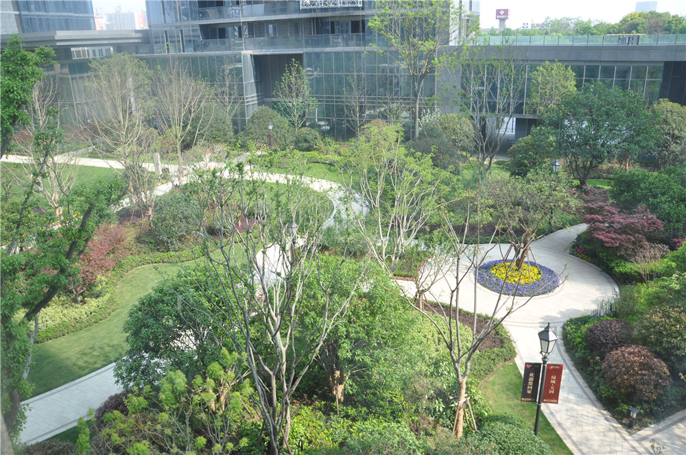 绿城玉园-杭州绿城玉园楼盘图片信息-搜狐焦点