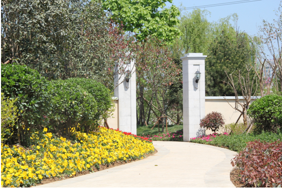 浮来春公馆日照至今唯一的一片法式花园