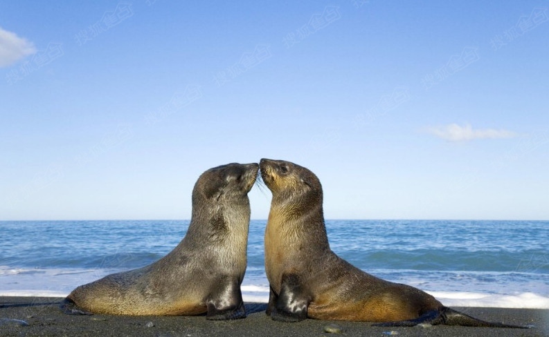 美美世界大型海洋萌宠空降郴州