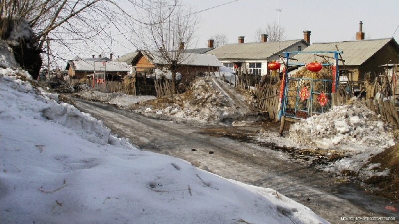 实拍东北贫民的草样住房 让人泪流满面