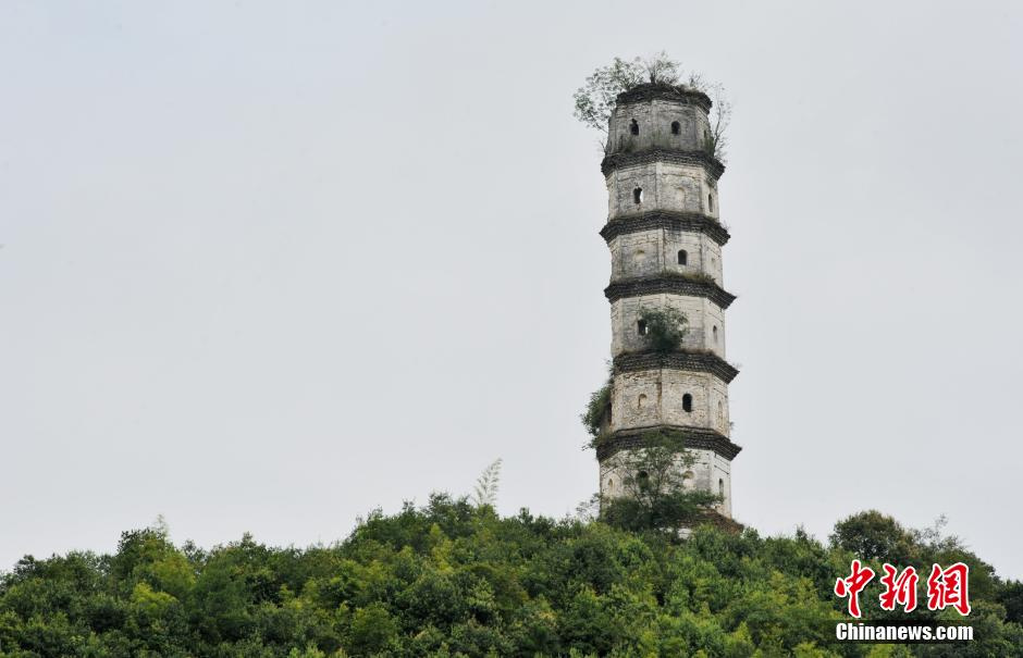 江西省德興市黃柏鄉尚河村的歷經500年不倒的半邊古塔,目前,因只有