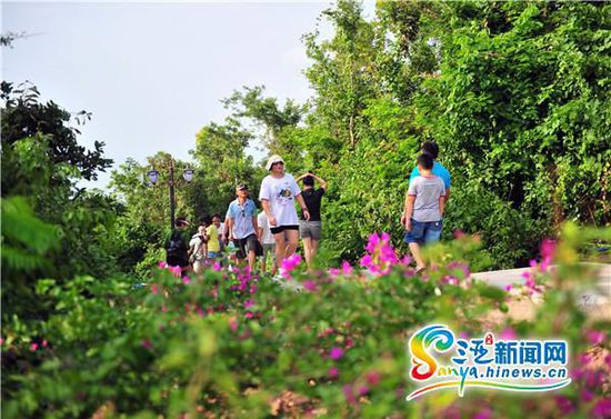 三亚临春岭森林公园免费开放 每天吸引数千人观景