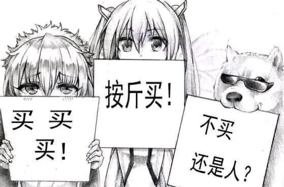 狐说楼市双11又到了少年不要犹豫买买买