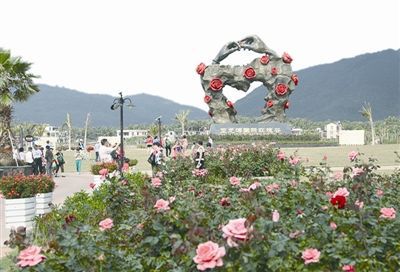 三亚荒地成玫瑰风情产业园村民吃上旅游饭