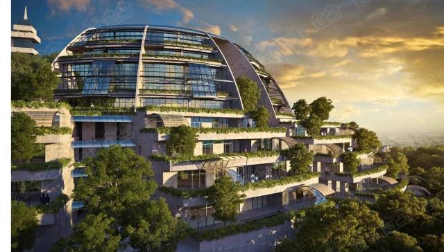 致麓湖君的一封信 -房产新闻-重庆搜狐焦点网