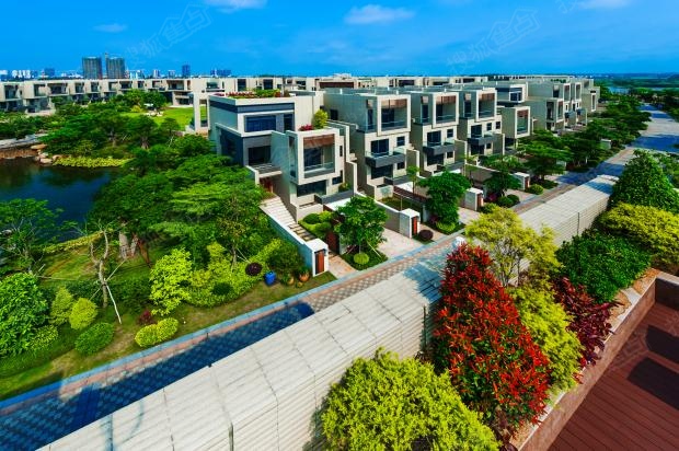 电白区扩容提质促进房地产业发展