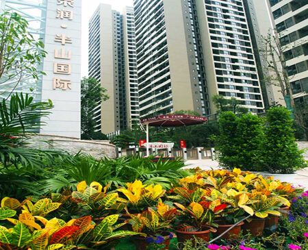 荣润半山国际闪耀房交会 带给市民不一样体验