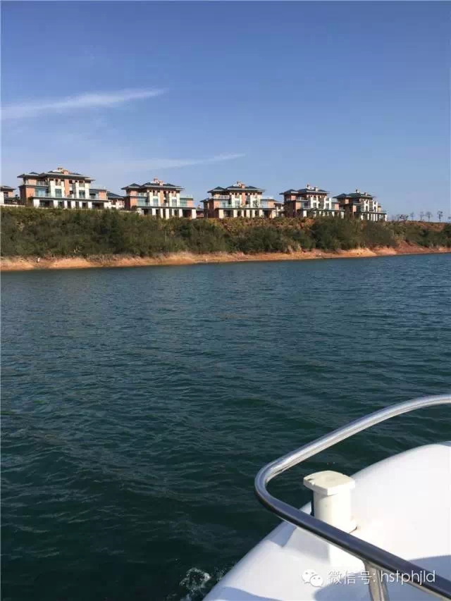 黄山太平湖春天已来 金龙岛灯笼花喜迎情人节