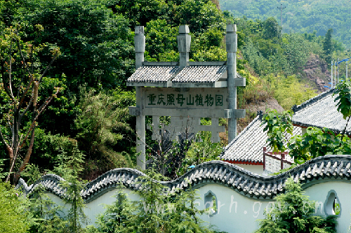 重庆照母山植物园图片