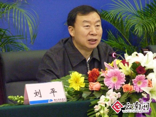 云南省副省长刘平.