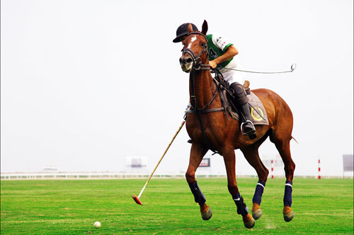 万丽海景2011唐人马球马术俱乐部会员杯盛典