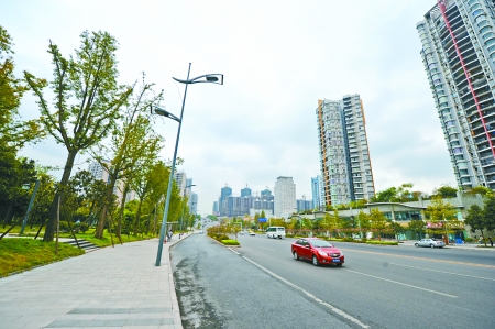 巴南区龙洲大道 记者 杨可 摄