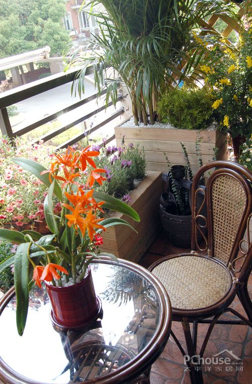 褪去酷夏炎热 4平米阳台变身清爽花园