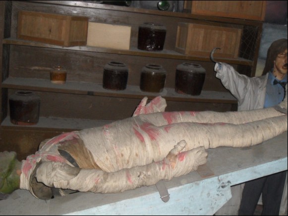 上海美国梦幻乐园将建保障房80后集体怀旧