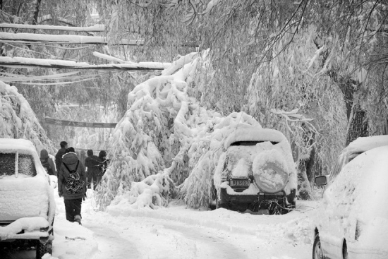 黑龍江鶴崗遭50年一遇大雪東北三省遭遇雪災