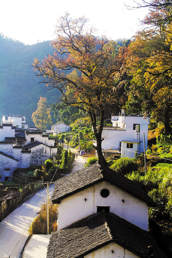 撩人秋色下的农村房子