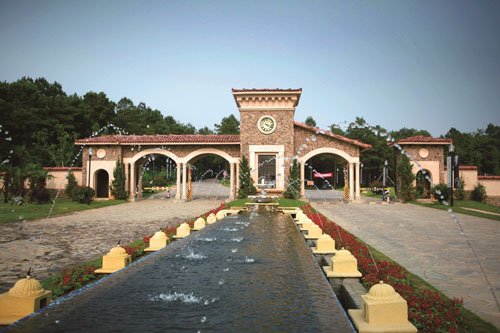 2013awi飞盘狗世界杯在卧龙湖小镇华丽落幕