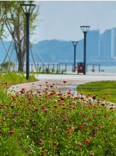 濱海公園以格力海岸會所為對景形成一條主要的景觀軸線,在軸線上佈置