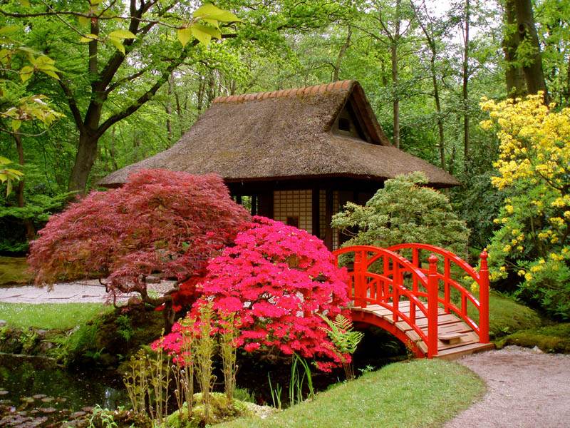 世界最著名日本风格园林建筑组图