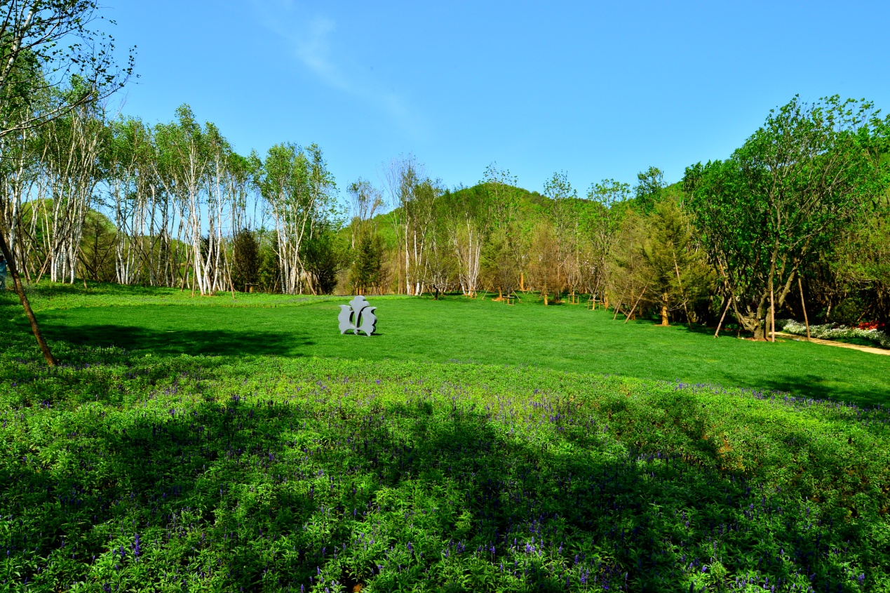 龙湖·滟澜山盛邀奥迪车主 畅享盛夏,牛仔狂欢