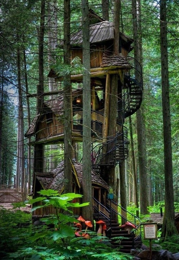 建在空中的房子树屋