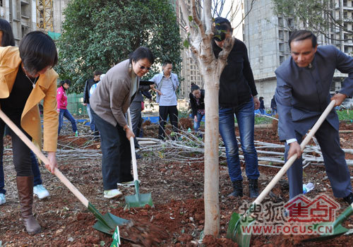 诺仕达集团,副总裁罗静纯也兴致勃勃地参与到植树活动中
