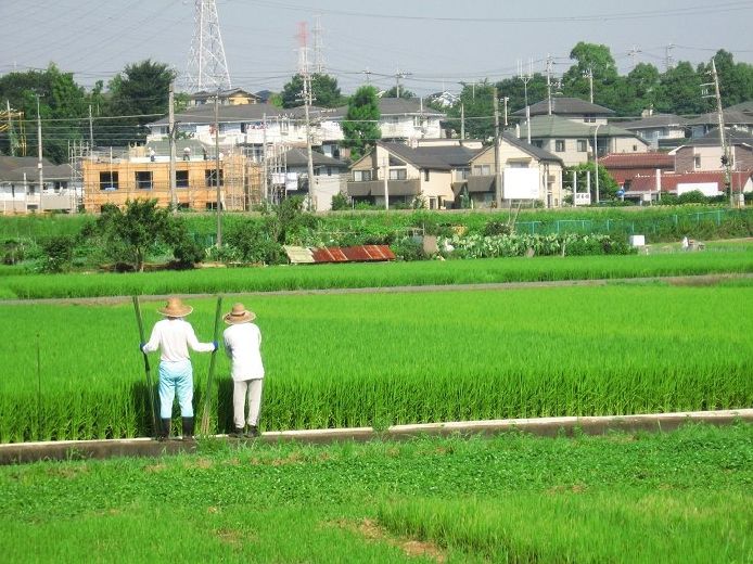 实拍日本农村房让你看傻眼 中国农村情何以堪