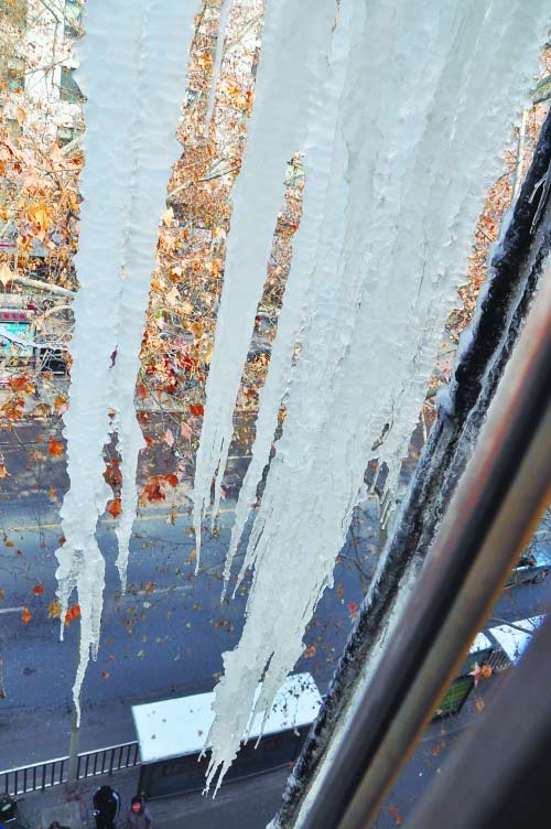 很美,很危险 郑州一家属楼顶长出一串冰挂