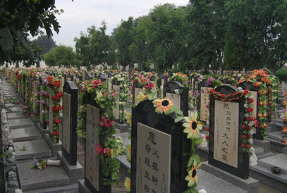 云南澄江公墓图片