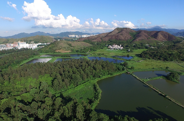 无人机航拍重建中的鹿丹村-房产新闻-深圳搜狐焦点网