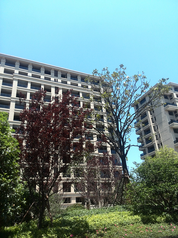 年中大促 滨江稽山翡翠园10席特价现房限时钜惠