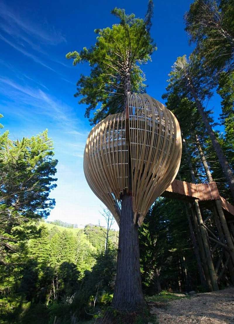 长在树上的房子 给你诠释什么是空中楼阁