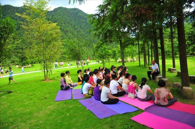 海口养生旅游协会揭牌成立 促进养生与旅游相融合